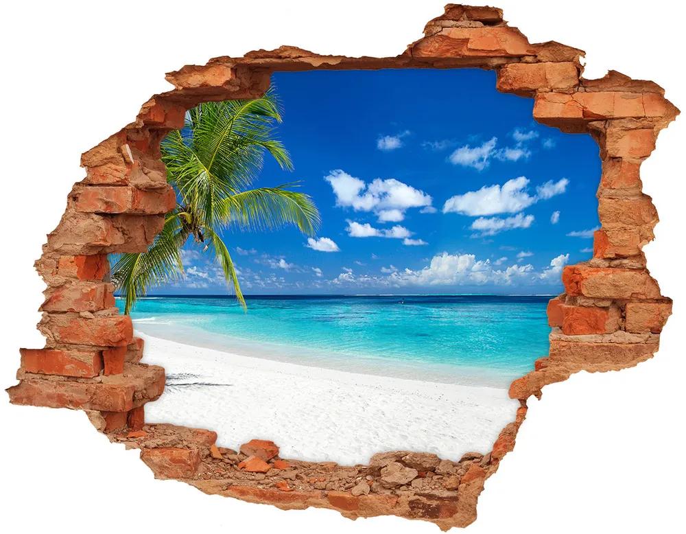 Fototapeta diera na stenu Tropické pláže nd-c-151547263