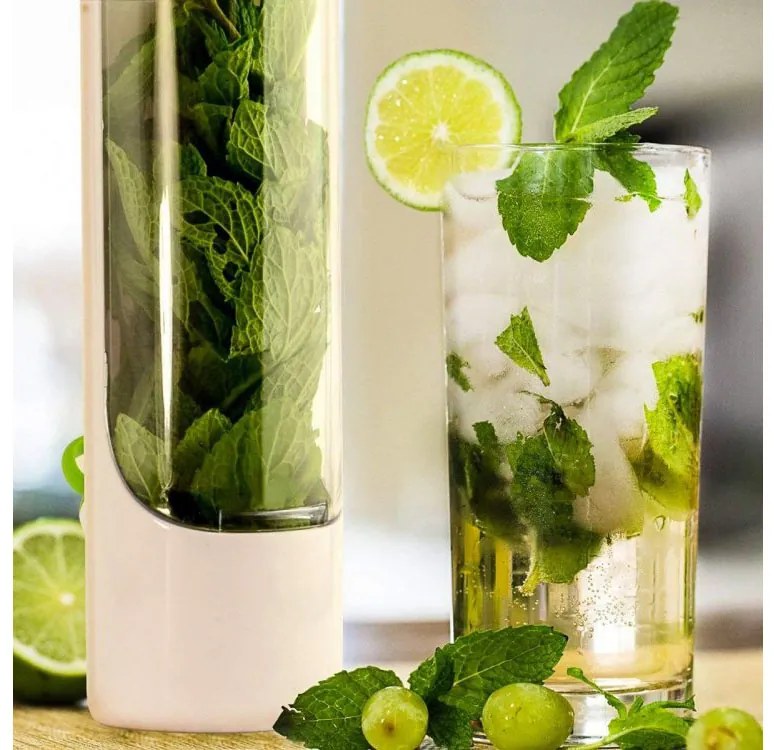 VERK GROUP Nádoba na uchovanie čerstvých byliniek, na bylinky - HERBER