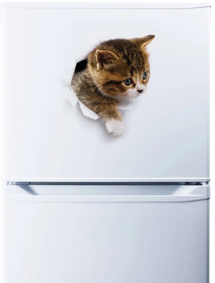 Nástenná samolepka Ambiance Hiding Cat