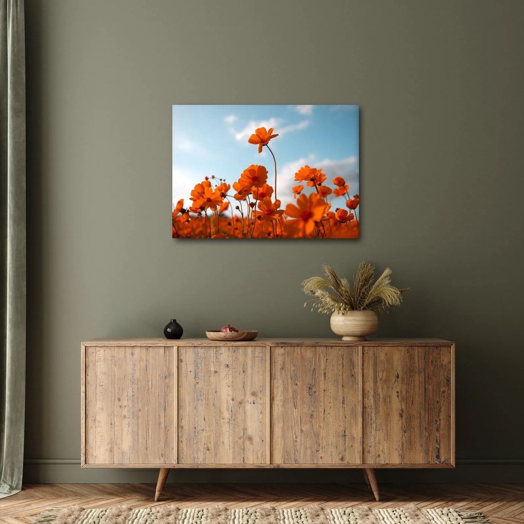 Obraz - Lúčne kvety (70x50 cm)