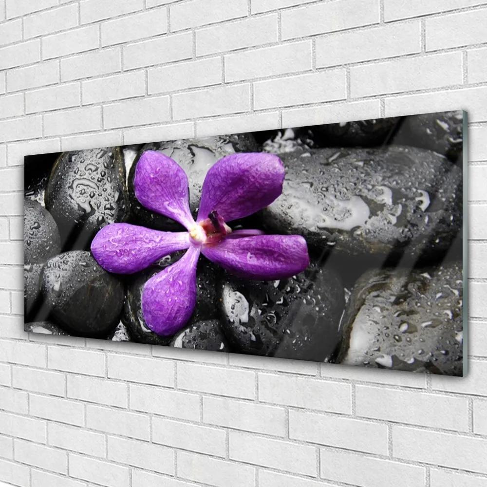 Obraz plexi Kvet kamene umenie 125x50 cm