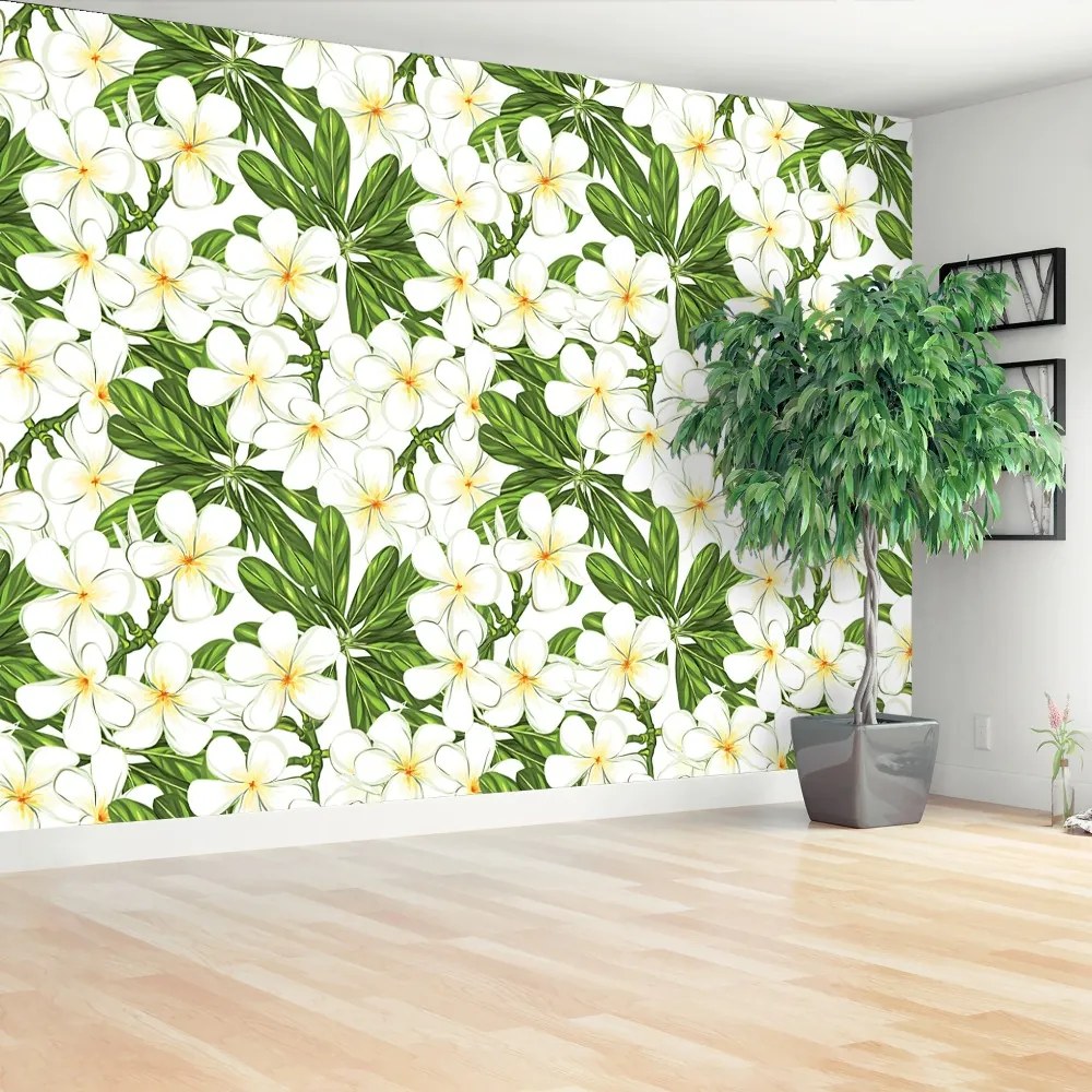 Fototapeta Vliesová Plumeria kvety 104x70 cm