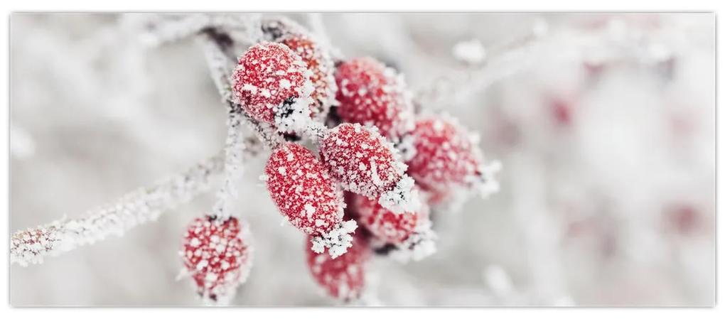 Obraz - Zamrznuté plody (120x50 cm)