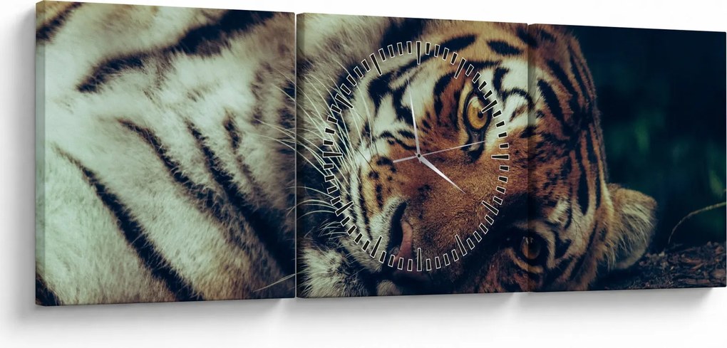 Obraz - Tiger Sibírsky (s hodinami) (90x30 cm)