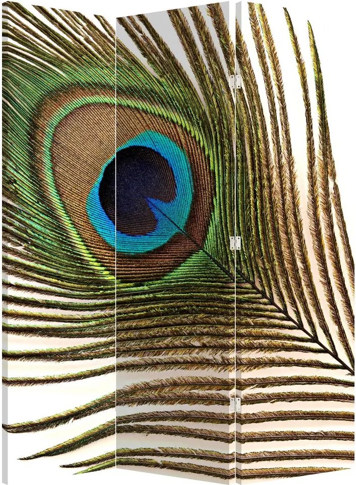 Paraván - Pávie perie (126x170 cm)