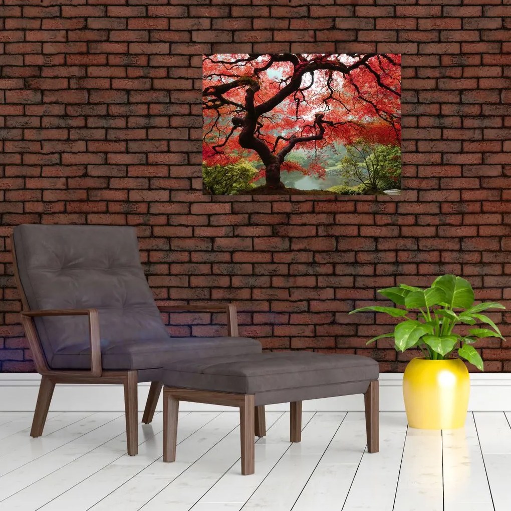Sklenený obraz červeného japonského javora, Portland, Oregon (70x50 cm)