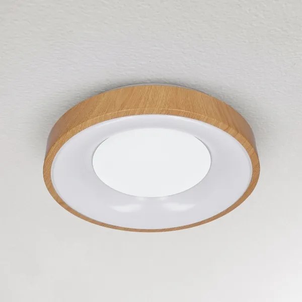 Brilagi - LED Stropné svietidlo DORIA LED/24W/230V