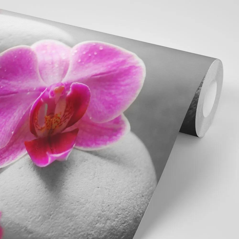 Samolepiaca fototapeta kvety orchidey na kameňoch - 375x250