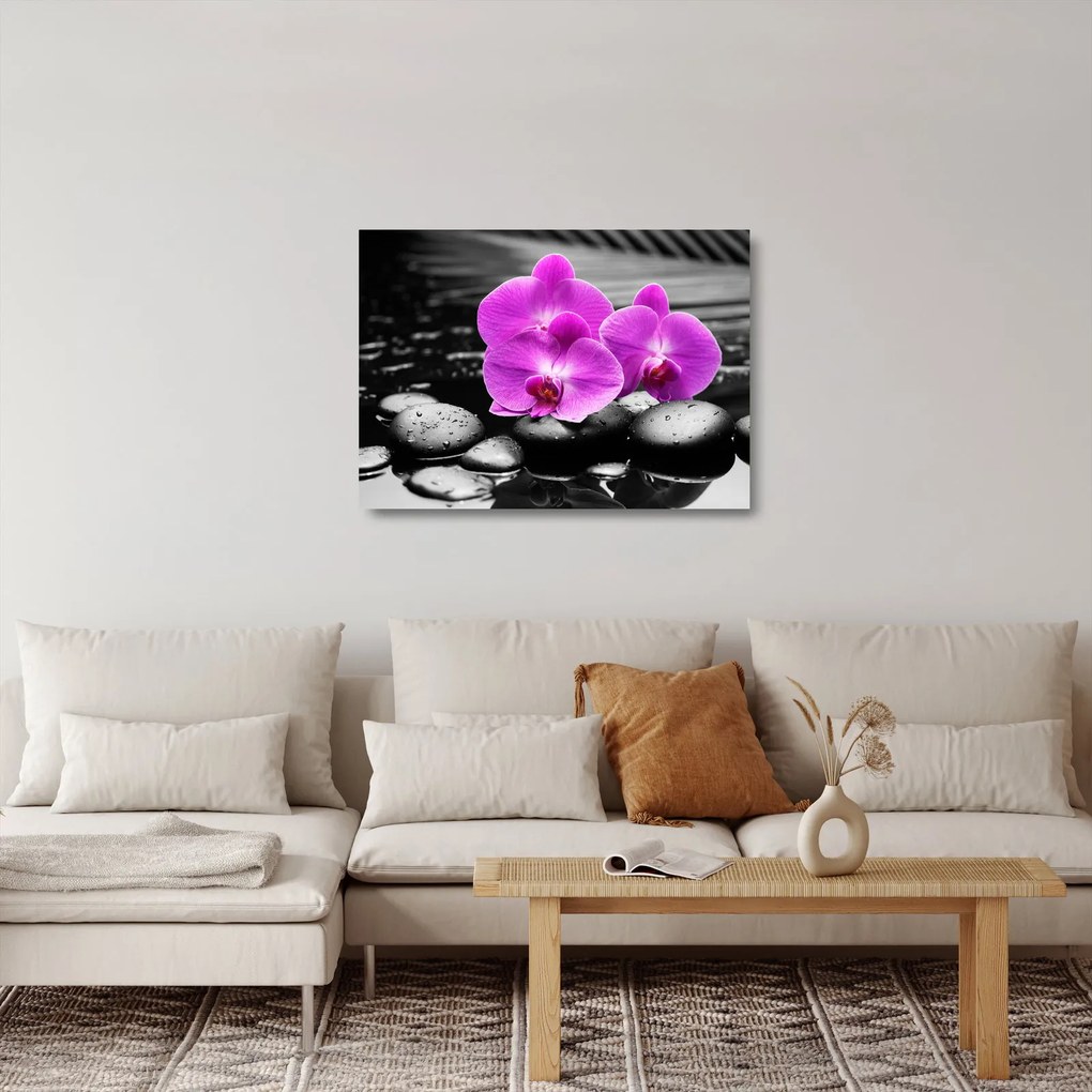 Sklenený obraz - Fialové orchidey (70x50 cm)