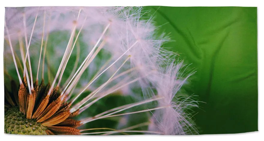 Sablio Uterák Odkvitnuté púpavy 3 - 70x140 cm