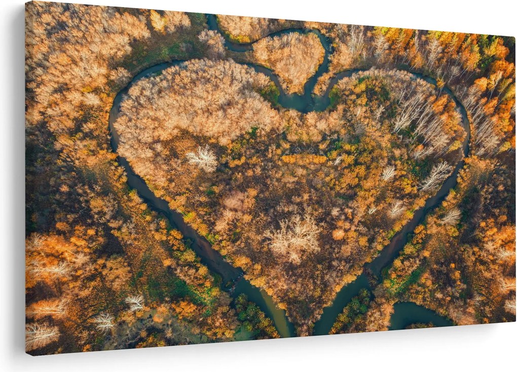 Obraz - Rieka v tvare srdca (90x60 cm)