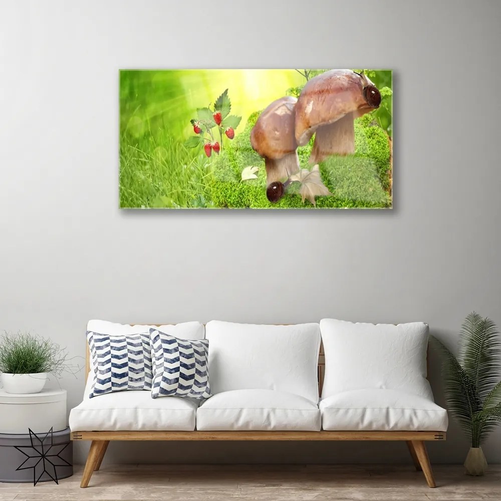 Obraz na akrylátovom skle Huby divoké jahody 100x50 cm