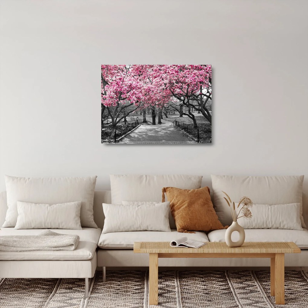 Sklenený obraz stromov Magnólie (70x50 cm)