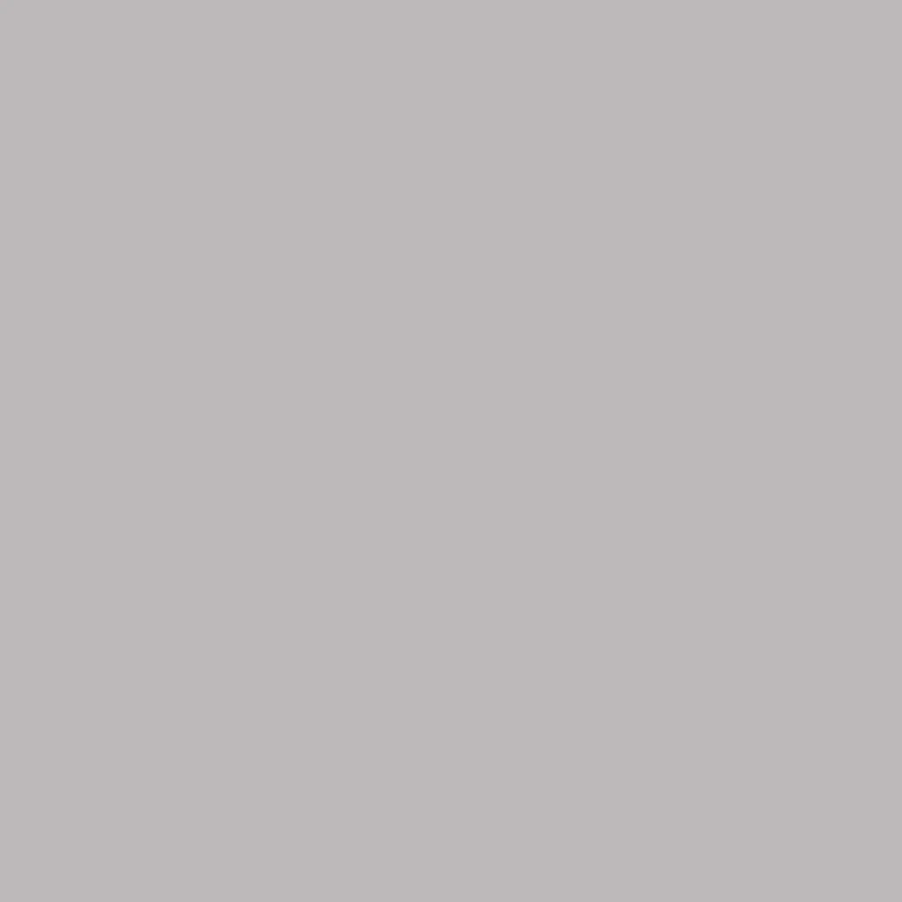 Detský kočík Carrello Delta CRL-5517 2024 Flint Grey