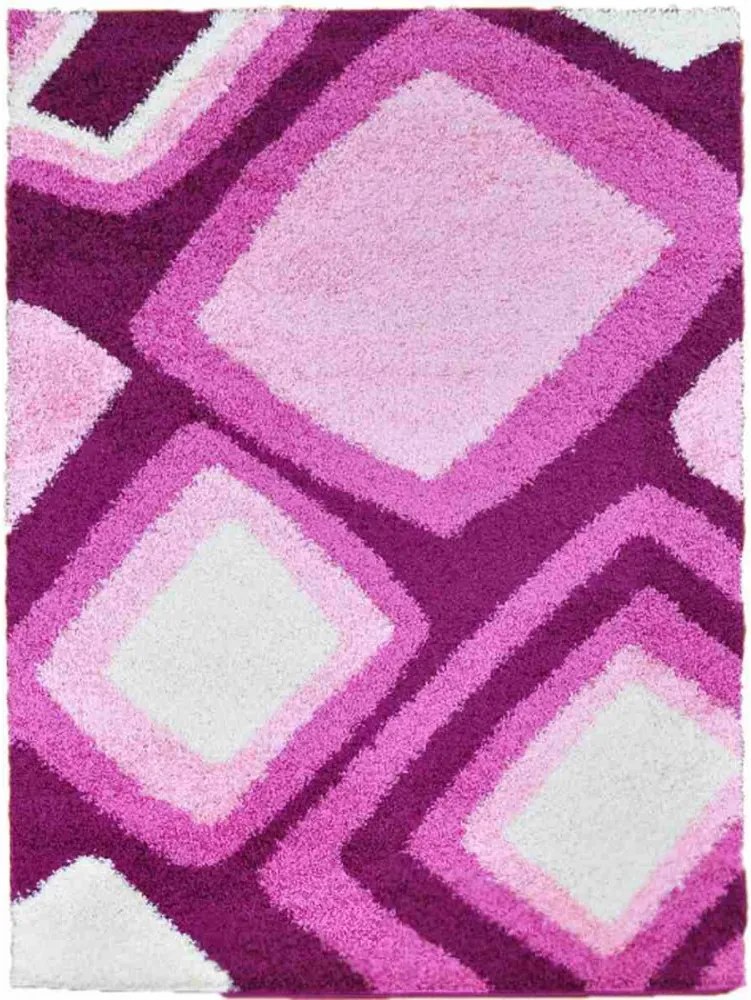Kusový koberec Shaggy Luna Dajen fialový, Velikosti 160x220cm