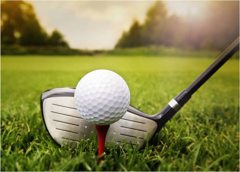 Obraz - Golf (70x50 cm)