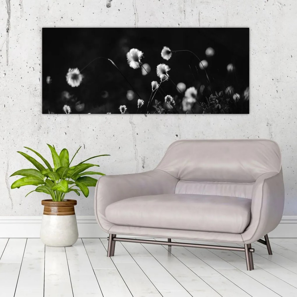 Obraz - Lúka s cottongrass N⁰1 (120x50 cm)