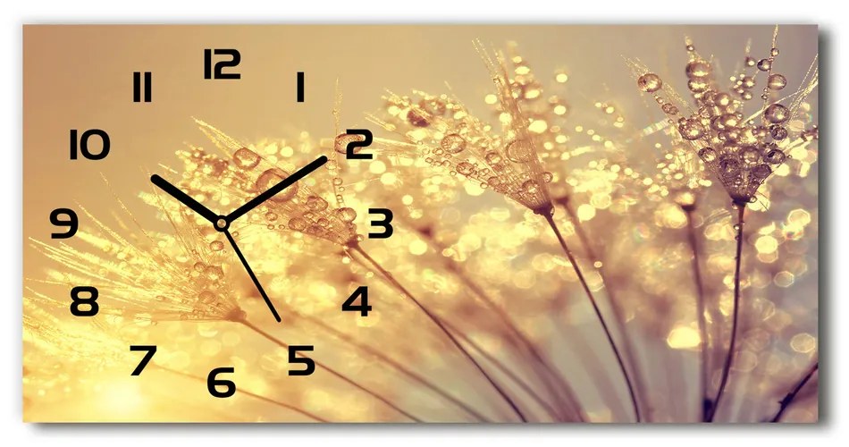 Vodorovné Sklenené hodiny na stenu Semená púpavy pl_zsp_60x30_f_93546051