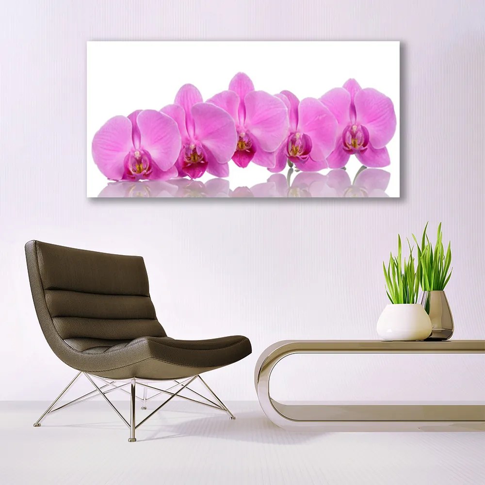 Obraz plexi Ružová orchidea kvety 120x60 cm