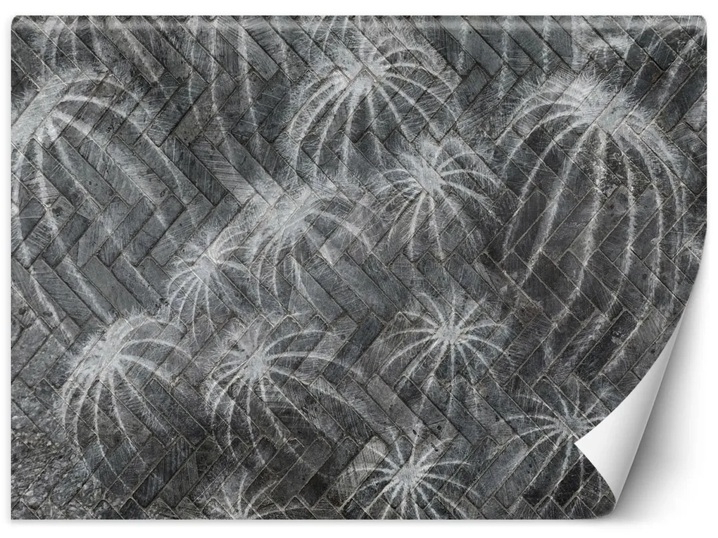 Gario Fototapeta Kaktusy v sivej farbe Materiál: Vliesová, Rozmery: 150 x 105 cm