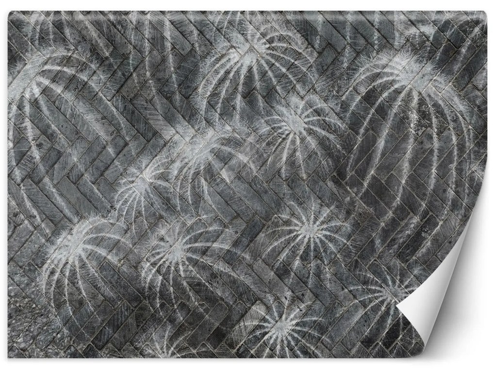 Gario Fototapeta Kaktusy v sivej farbe Materiál: Vliesová, Rozmery: 450 x 315 cm