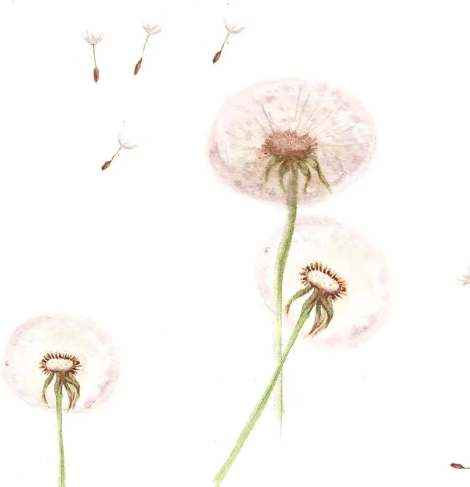 Tapeta púpavy 280x50 cm