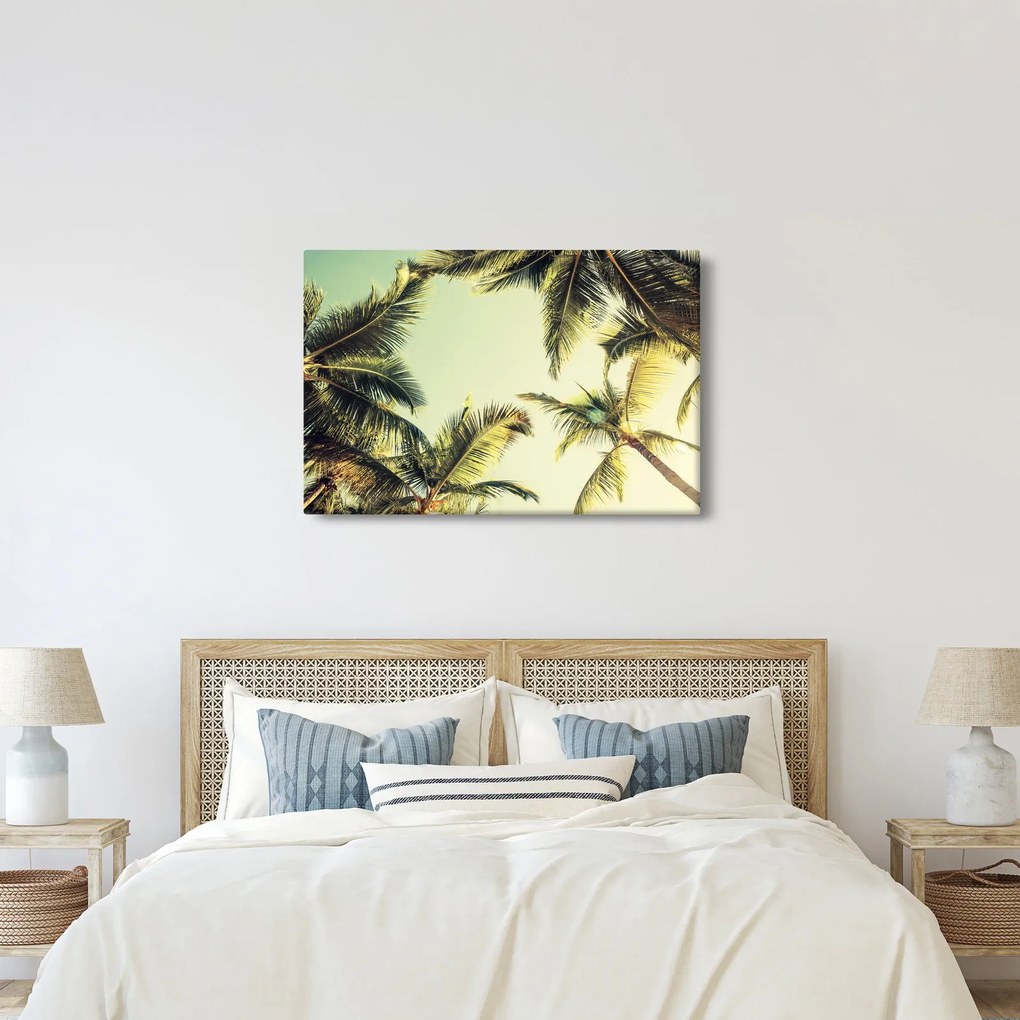 Obraz s kokosovými palmami (90x60 cm)
