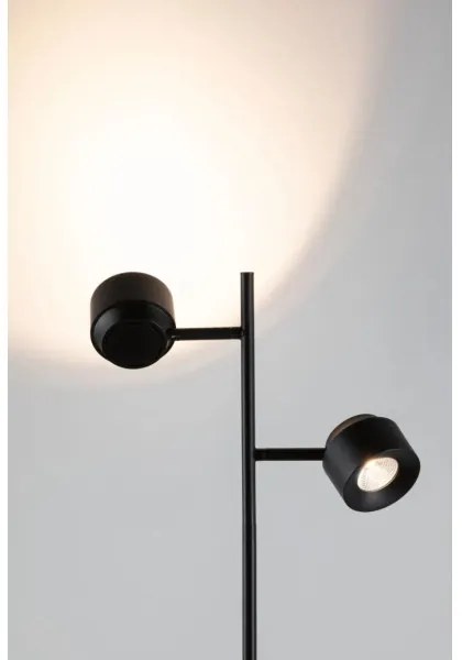 Paulmann 79775 - 2xLED/3W Stmievateľná stojacia lampa PURIK PANE 230V