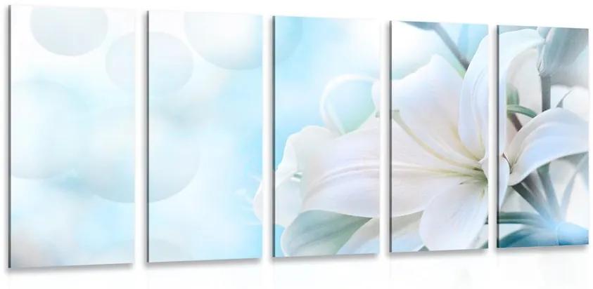 5-dielny obraz biely kvet ľalie na abstraktnom pozadí Varianta: 100x50