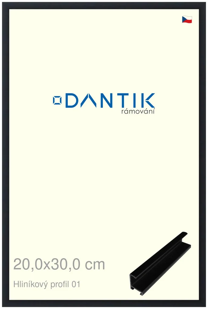 DANTIK rám na obraz 20x30 | ALU Černá matná (Sklo Čiré)
