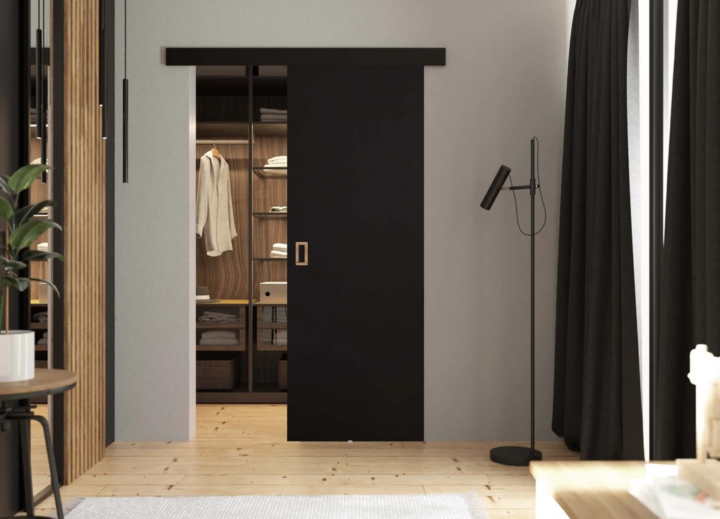 Posuvné dvere WERDI | 100 cm Farba: Čierna