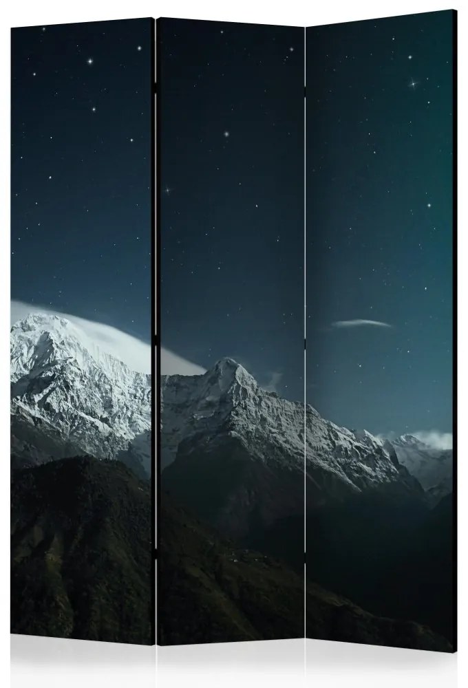 Artgeist Paraván - Northern lights [Room Dividers]