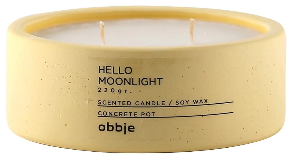 Hello Moonlight Flat
