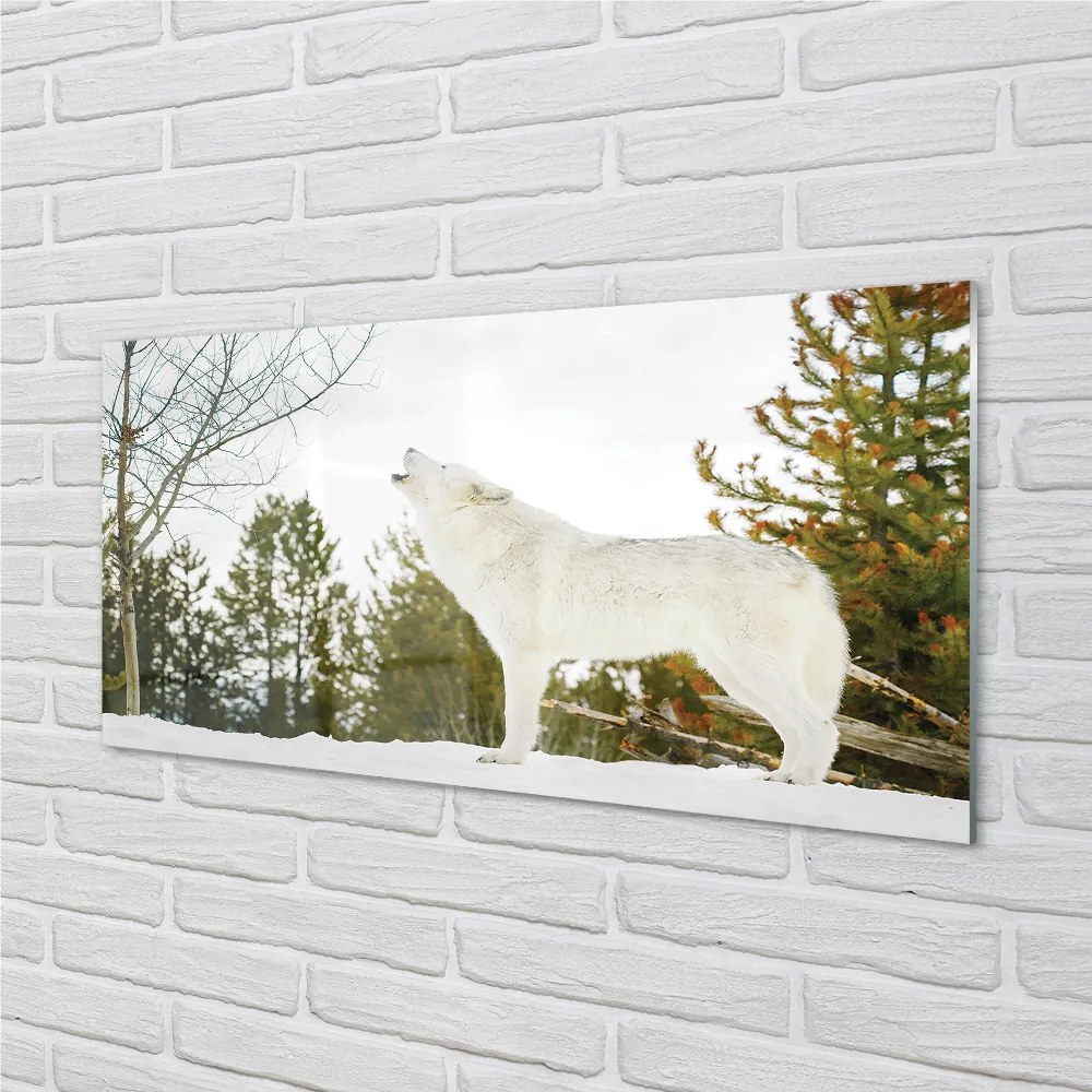 Nástenný panel  Vlk v zime lese 125x50 cm
