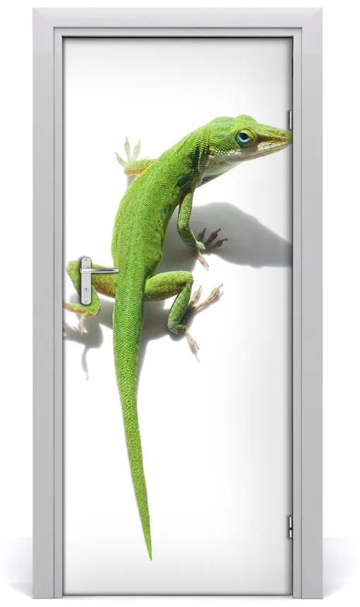 Samolepiace fototapety na dvere zelená jašterica 75x205 cm