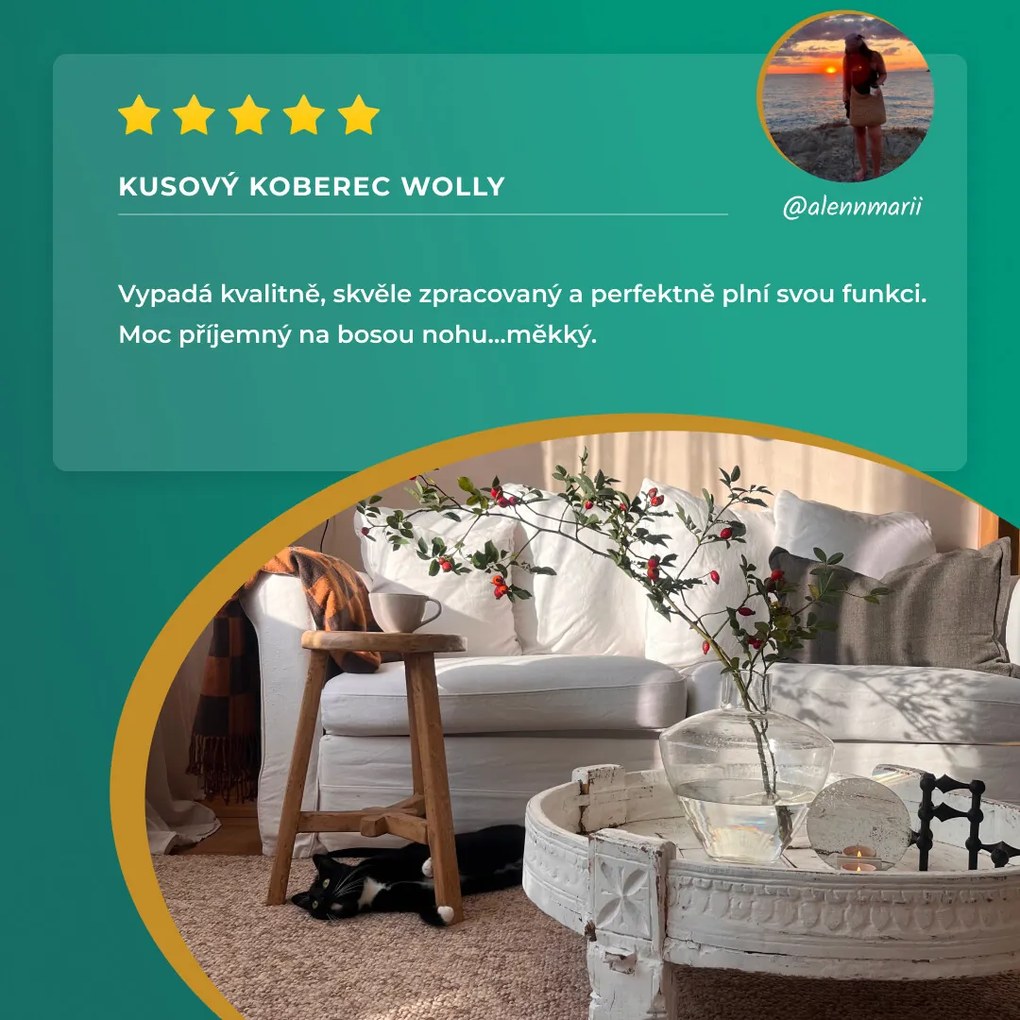 Kusový koberec Wolly 102842, 140x200, béžová, obývacia izba, BT Carpet