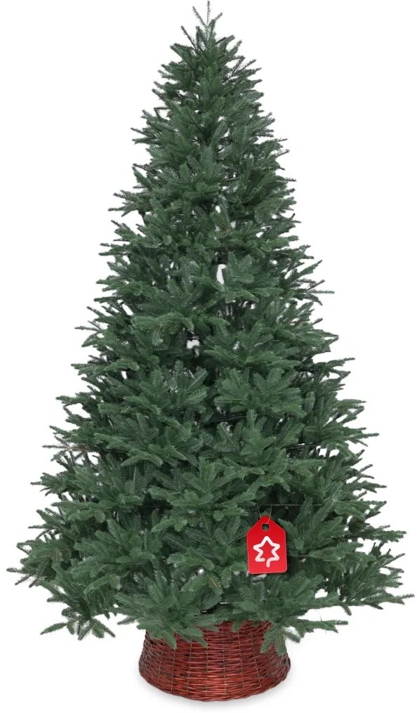 Jedľa Sibírska 100% 180 cm