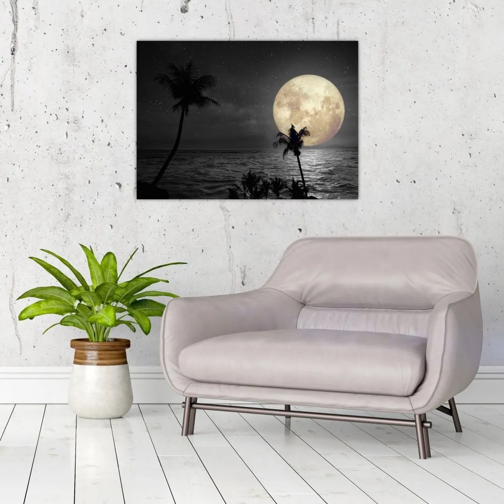 Sklenený obraz - Pláž za splnu v šedých tónoch (70x50 cm)