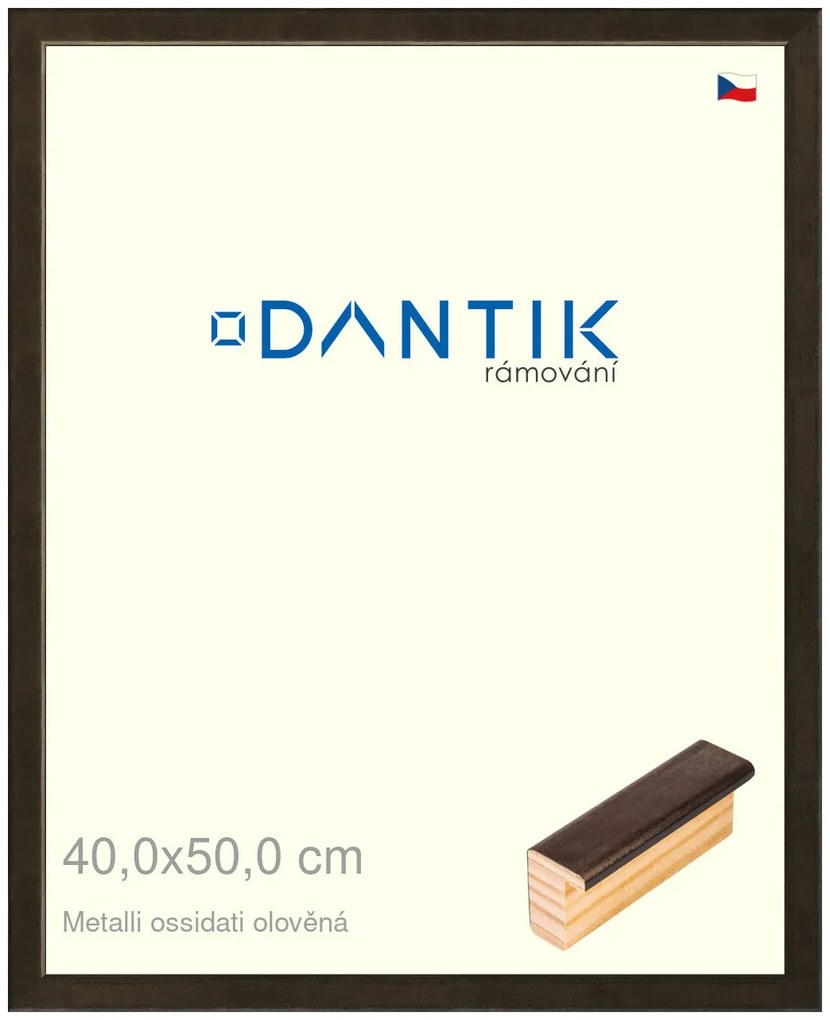 DANTIK rám na obraz 40x50 | Metalli oidati olověná (Sklo Čiré)
