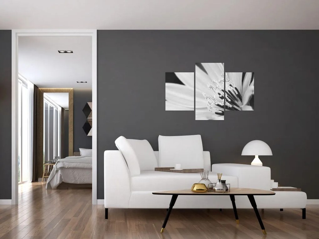 Obraz - Čiernobiely kvet (90x60 cm)