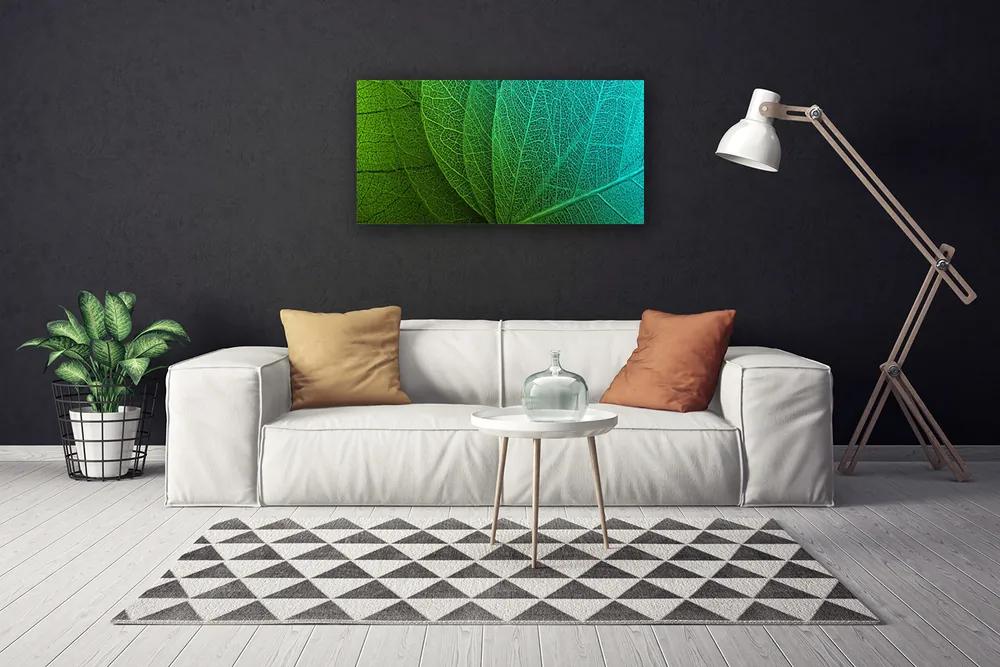 Obraz na plátne Abstrakcie listy rastlina 120x60 cm