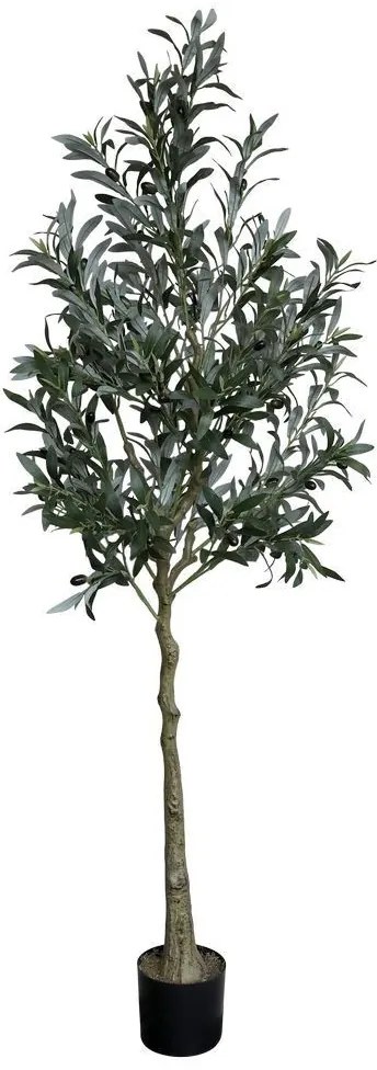 Dekorácia umelý stromček olivovník s olivami Olea Tree - 15*170 cm