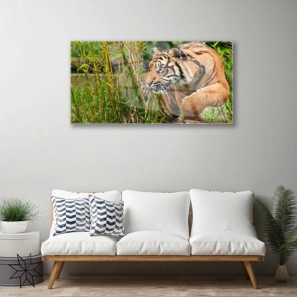 Obraz plexi Tiger zvieratá 100x50 cm