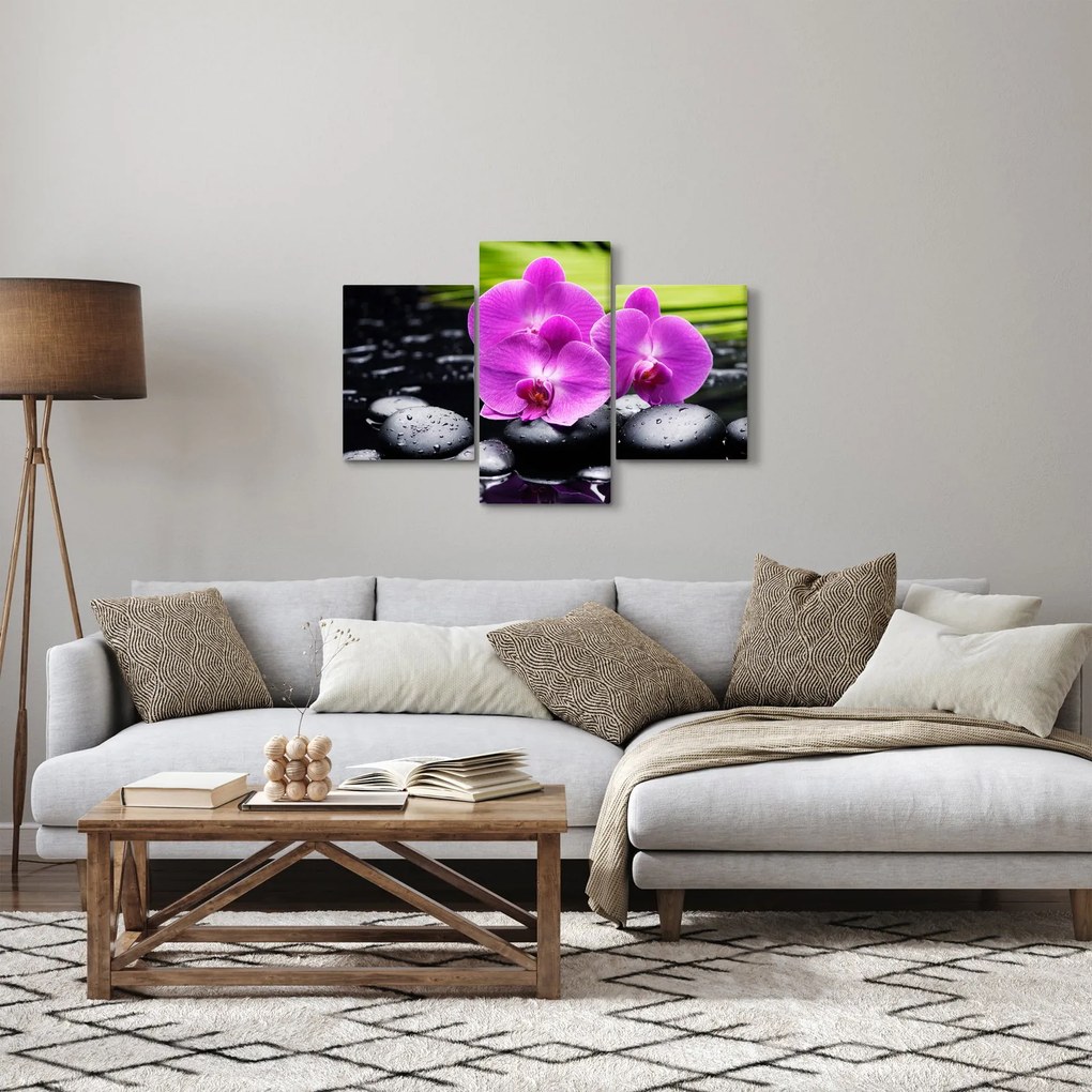 Obraz - Orchidey (90x60 cm)