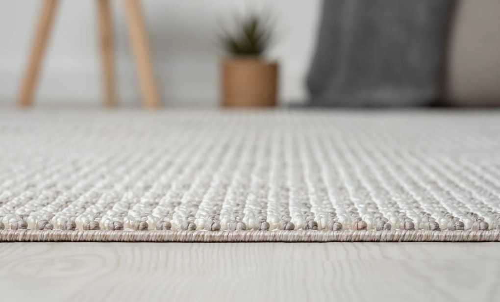 Kusový koberec Ava hellgrau, 160x230, šedá, chodba / predsieň, My Flair