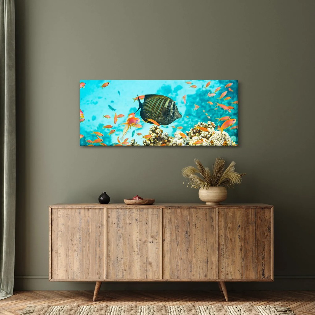 Obraz podmorského sveta (120x50 cm)