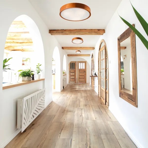 Stropné svietidlo 3xE27/60W/230V