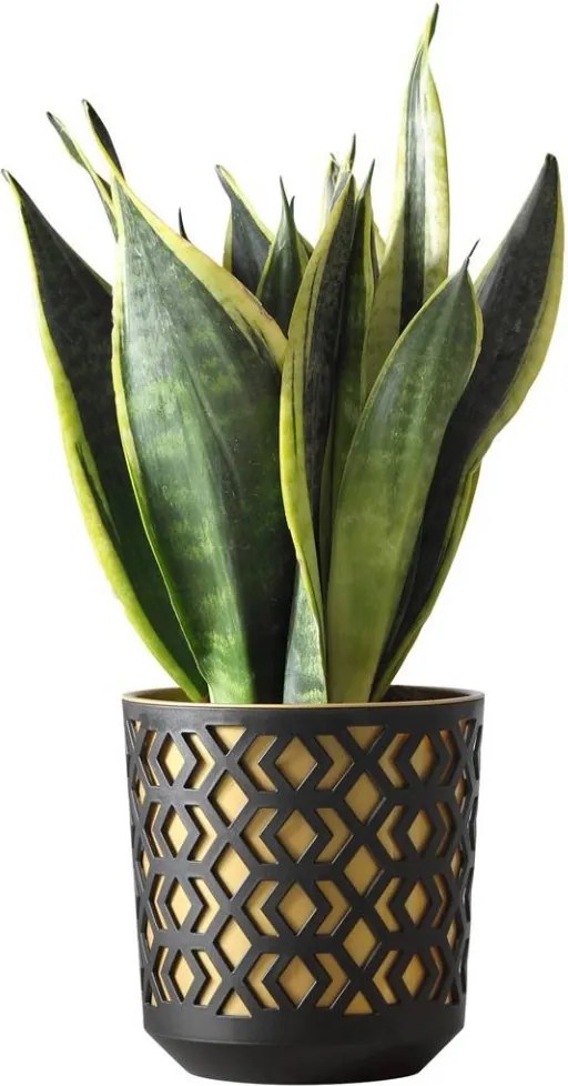 Plastový kvetináč Etnik 19x20 cm čierny/zlatý