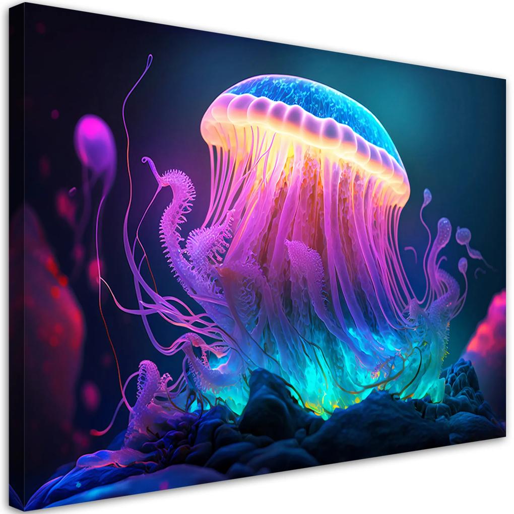 Gario Obraz na plátne Veľká medúza Rozmery: 60 x 40 cm