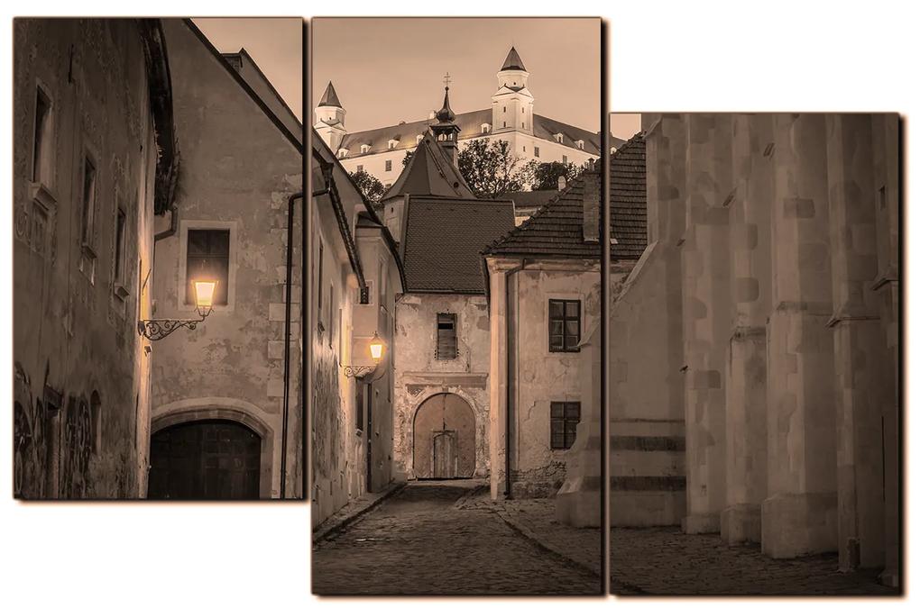 Obraz na plátne - Bratislava staré mesto s hradom vzadu 1265FD (135x90 cm)